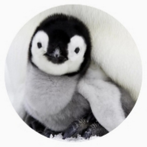 Meet your Posher, Jamesforrest - Picture 1 of 1